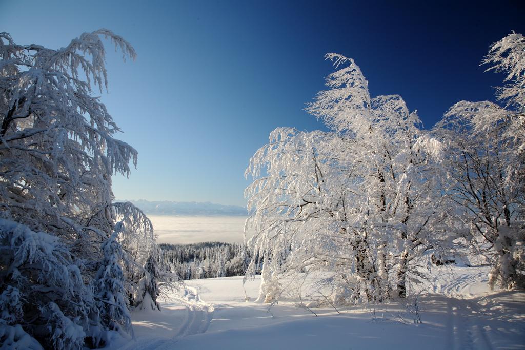 Domek Buflak Nowy Targ Bilik gambar
