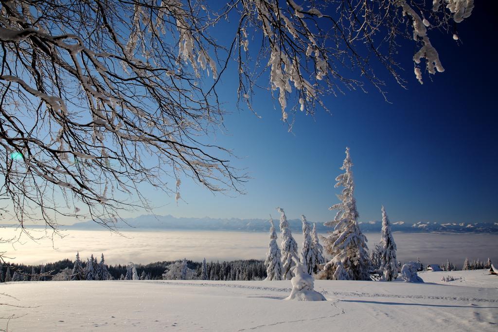 Domek Buflak Nowy Targ Bilik gambar